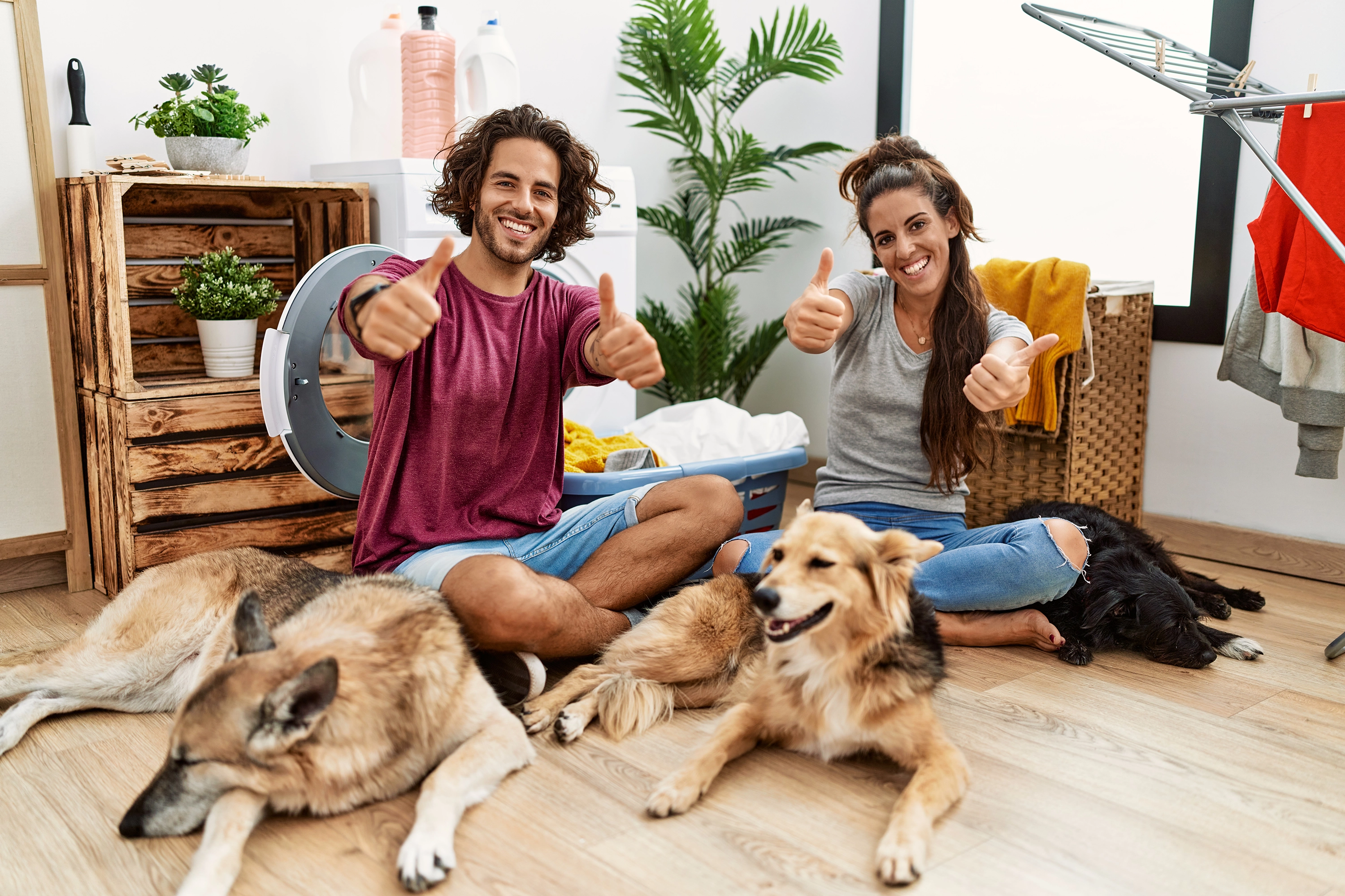Perro descansando en la sala de una casa